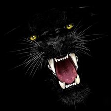 Схема вышивки «Багира, книга джунглей»