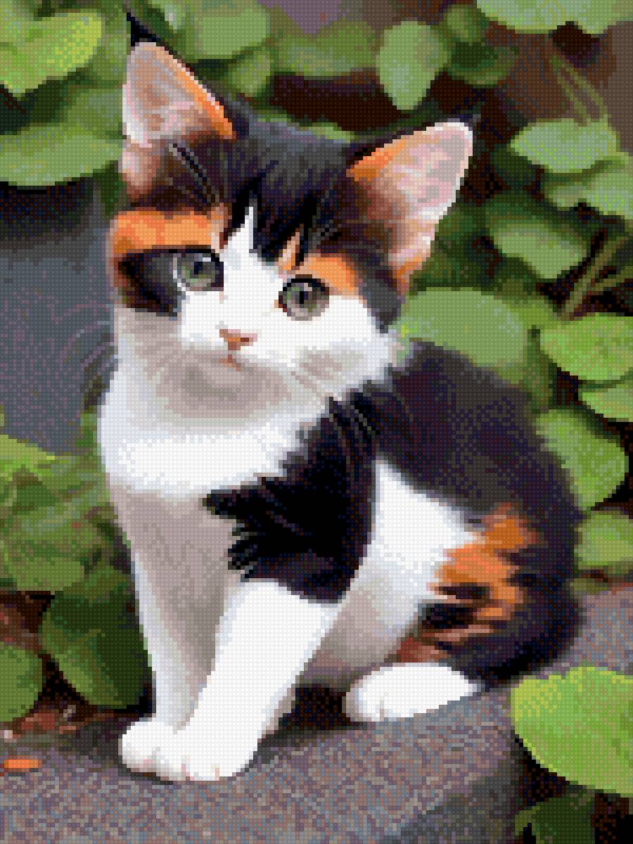 Котик - котик, животные - предпросмотр