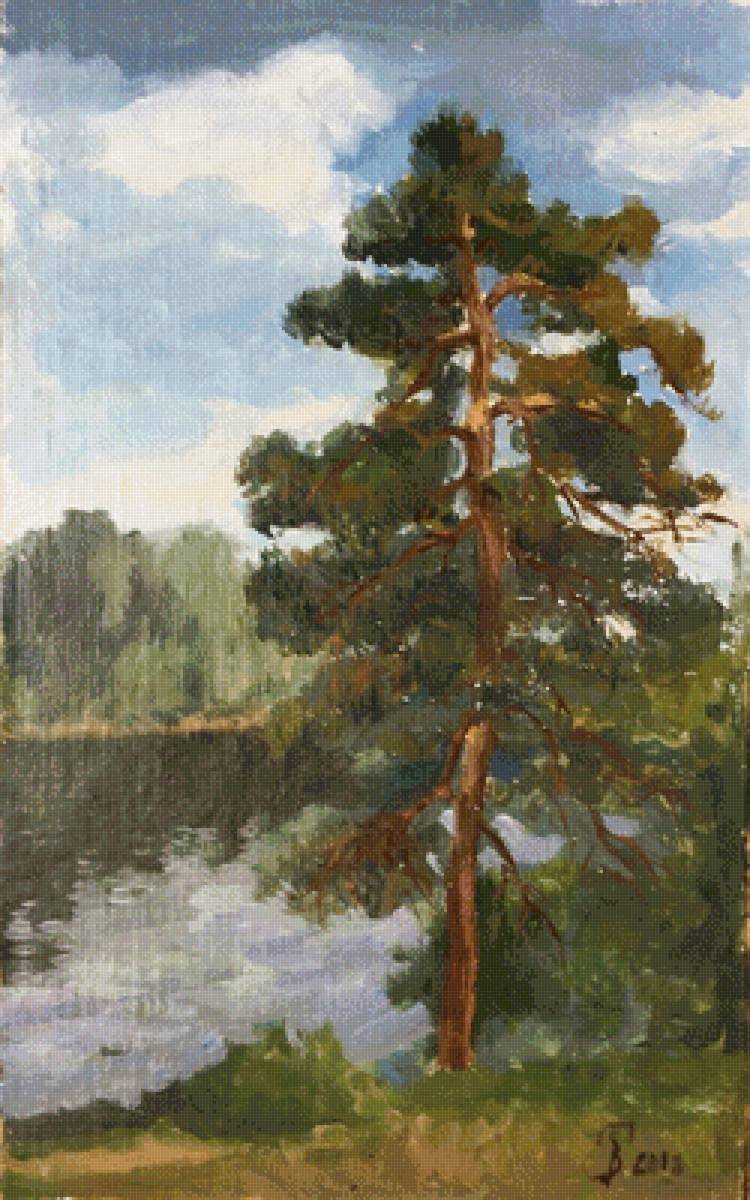 Сосны. Михаил Липатов - русские художники - предпросмотр