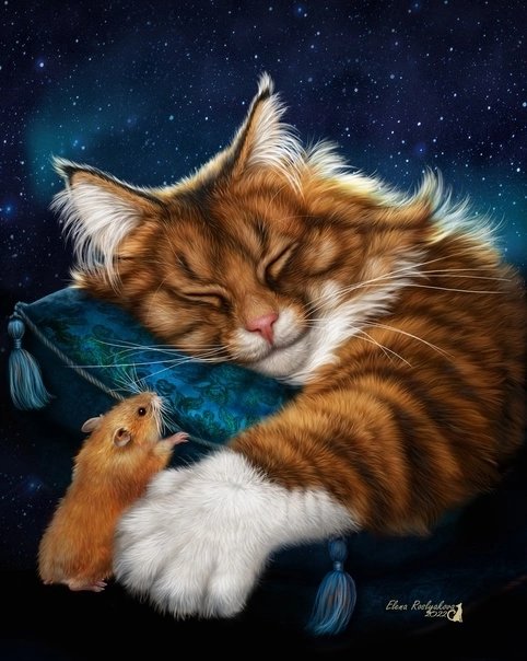 рыжий кот - животное - оригинал