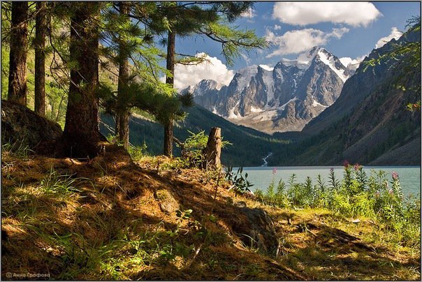 пейзаж - горы, лес, озеро - оригинал