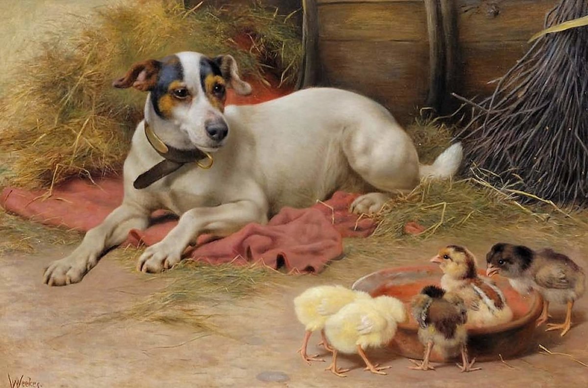 Prieteni noi, H.W.Weekes - natura - оригинал