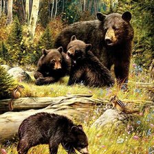 Схема вышивки «Медвежья семья»