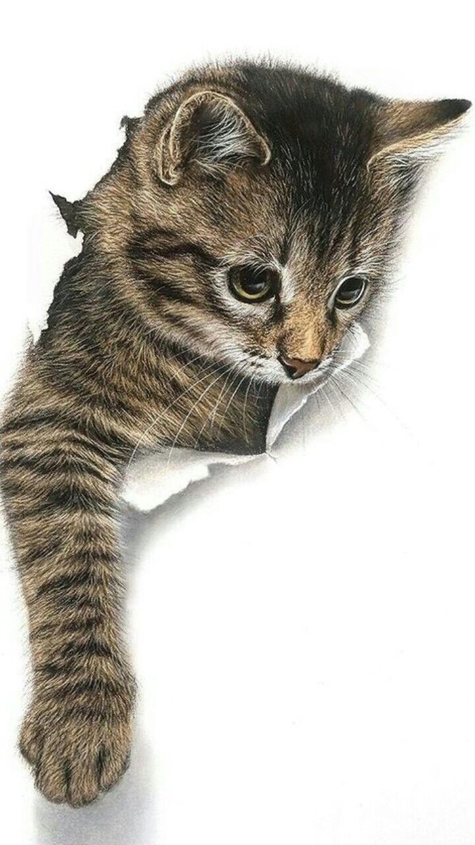 №2786043 - оригинал