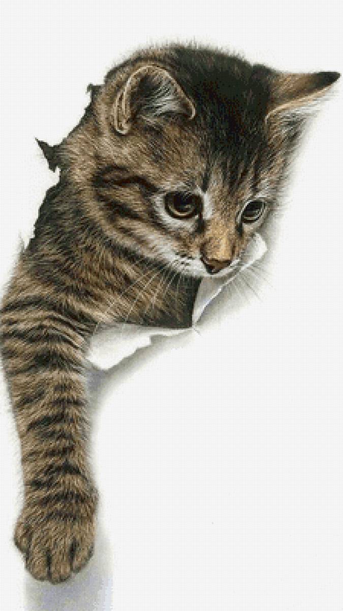 №2786043 - предпросмотр