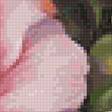Предпросмотр схемы вышивки «цветы» (№2786314)