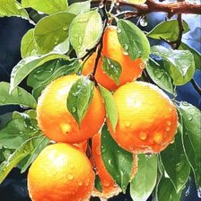 Схема вышивки «лимоны»