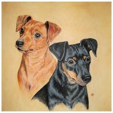 Схема вышивки «боня и тимоша»