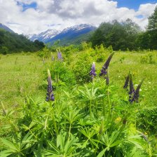Схема вышивки «Абхазия»