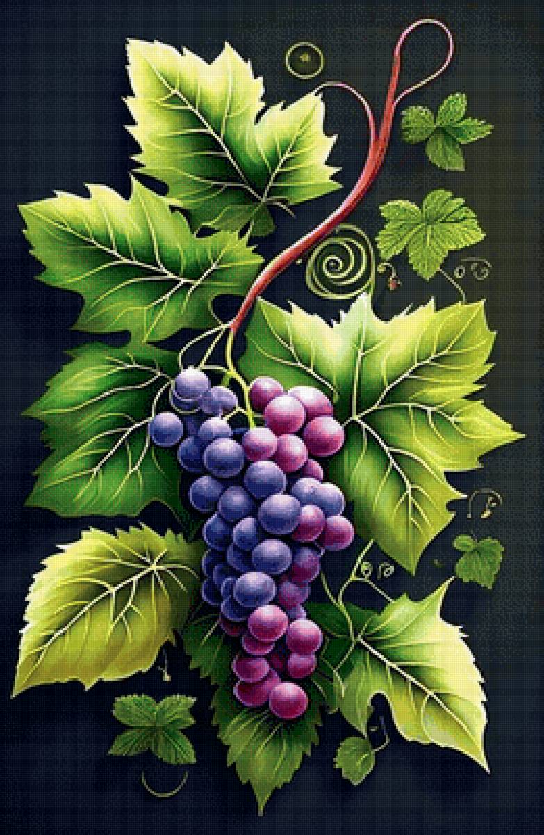 Виноград - предпросмотр