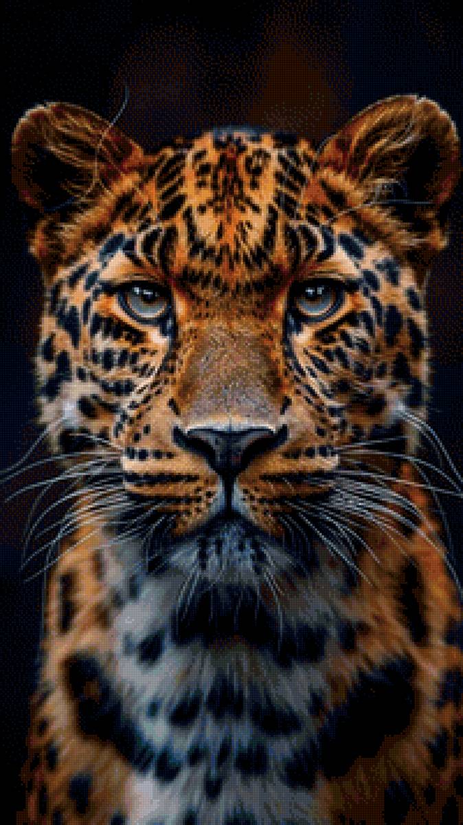 Леопард - дикие - предпросмотр