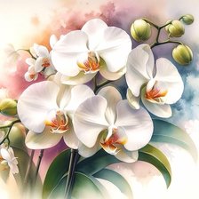 Схема вышивки «Орхидея»