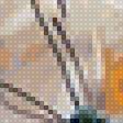 Предпросмотр схемы вышивки «Бабочка» (№2788638)