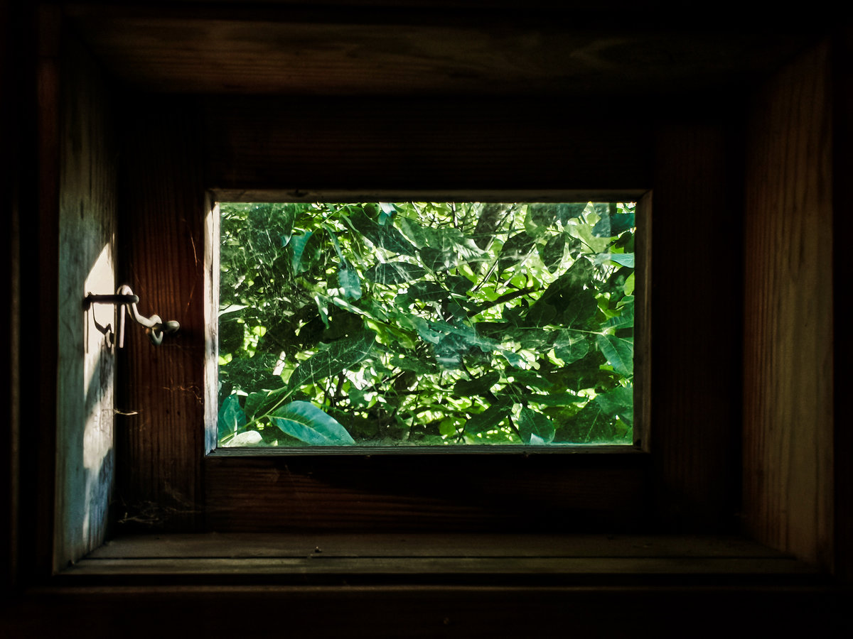Окошко - окно, зелень, баня - оригинал