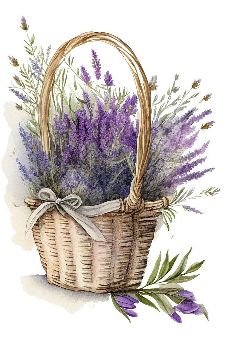 Лаванда - лаванда - оригинал