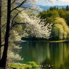 Схема вышивки «Природа»