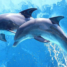 Схема вышивки «№2789971»