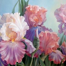 Схема вышивки «Ирисы»