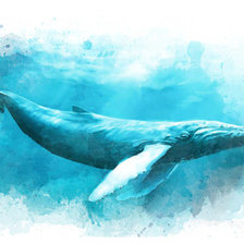 Схема вышивки «кит»