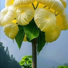 Схема вышивки «Цветок»