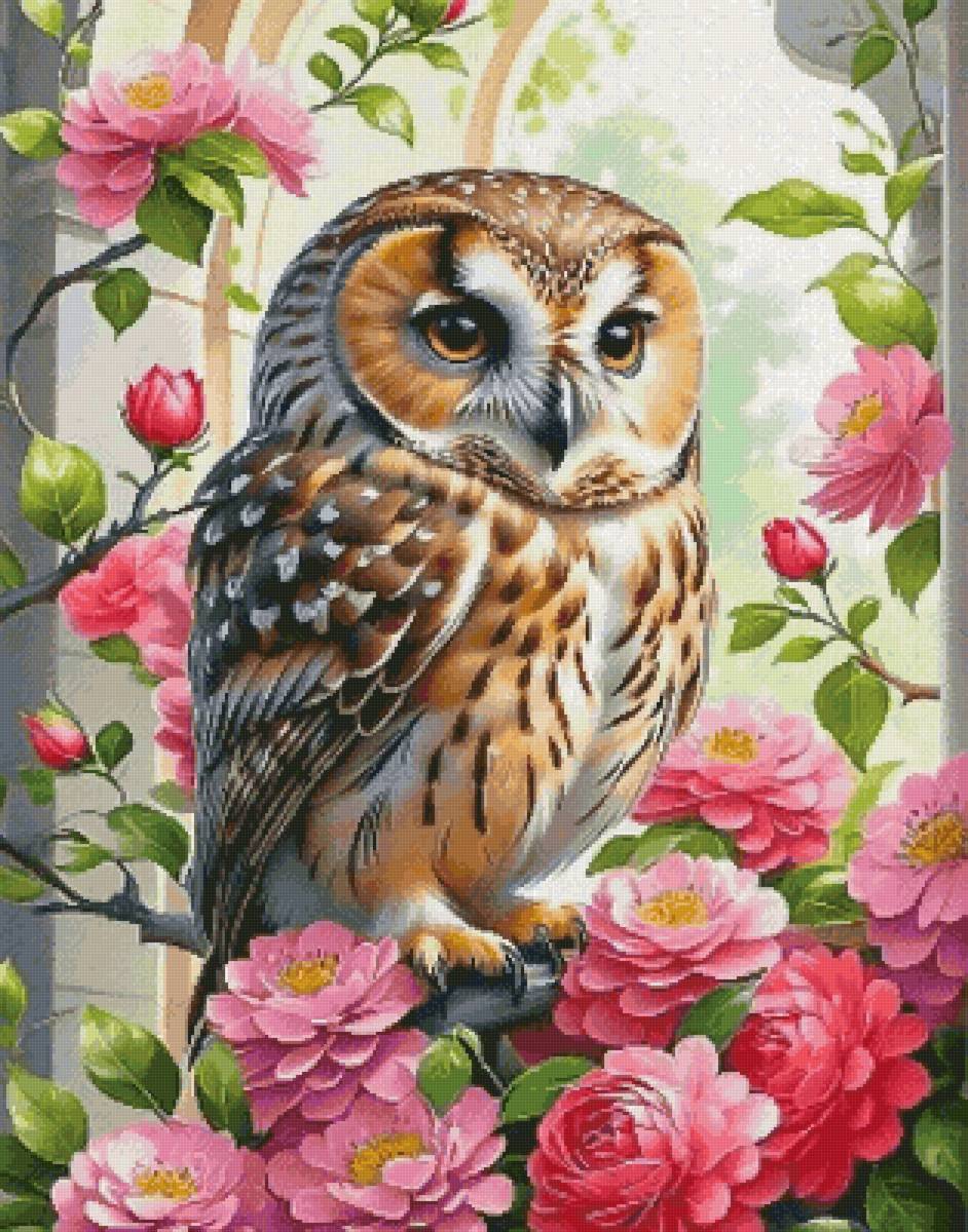 Сова - предпросмотр