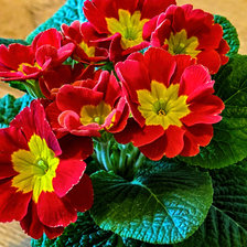 Схема вышивки «№2791575»