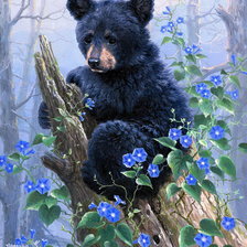 Схема вышивки «Миша»