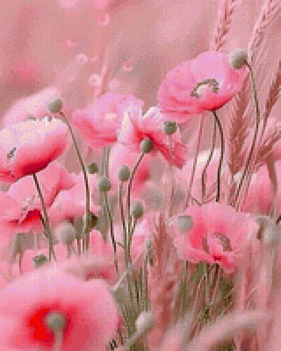 Маки - предпросмотр