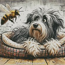 Неожиданная встреча