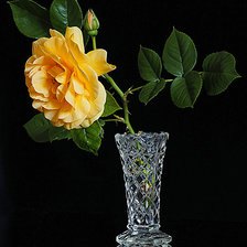 Схема вышивки «Роза»