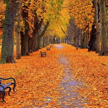 Схема вышивки «осень»