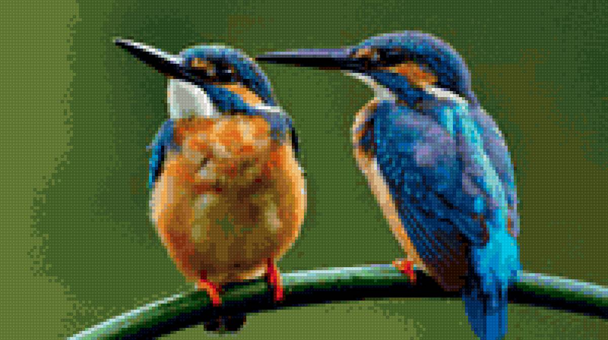 птицы - птицы - предпросмотр