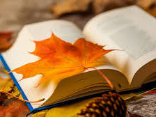 Схема вышивки «осень»