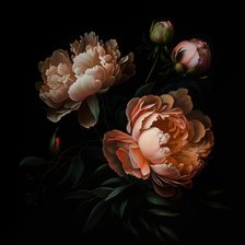 Схема вышивки «Цветы»