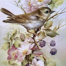 Схема вышивки «птица»