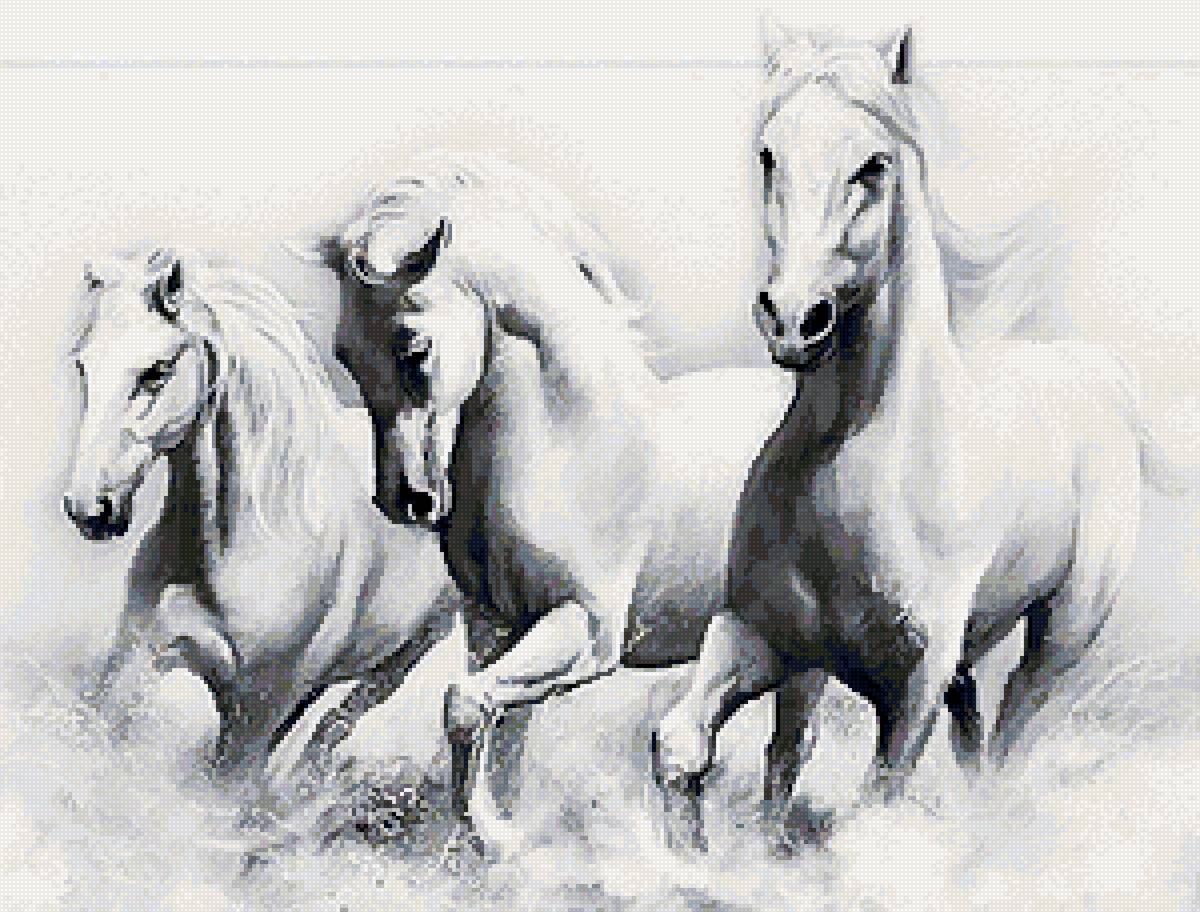 №2793760 - кони, белые - предпросмотр