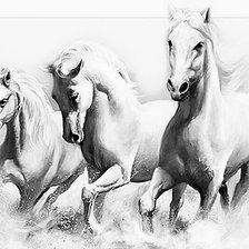 Схема вышивки «№2793760»