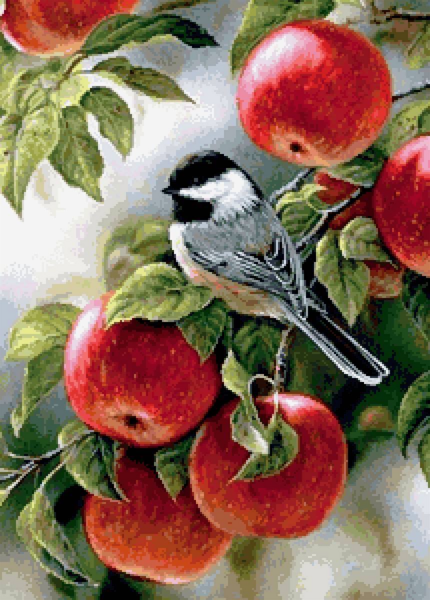 синица на яблоне - предпросмотр