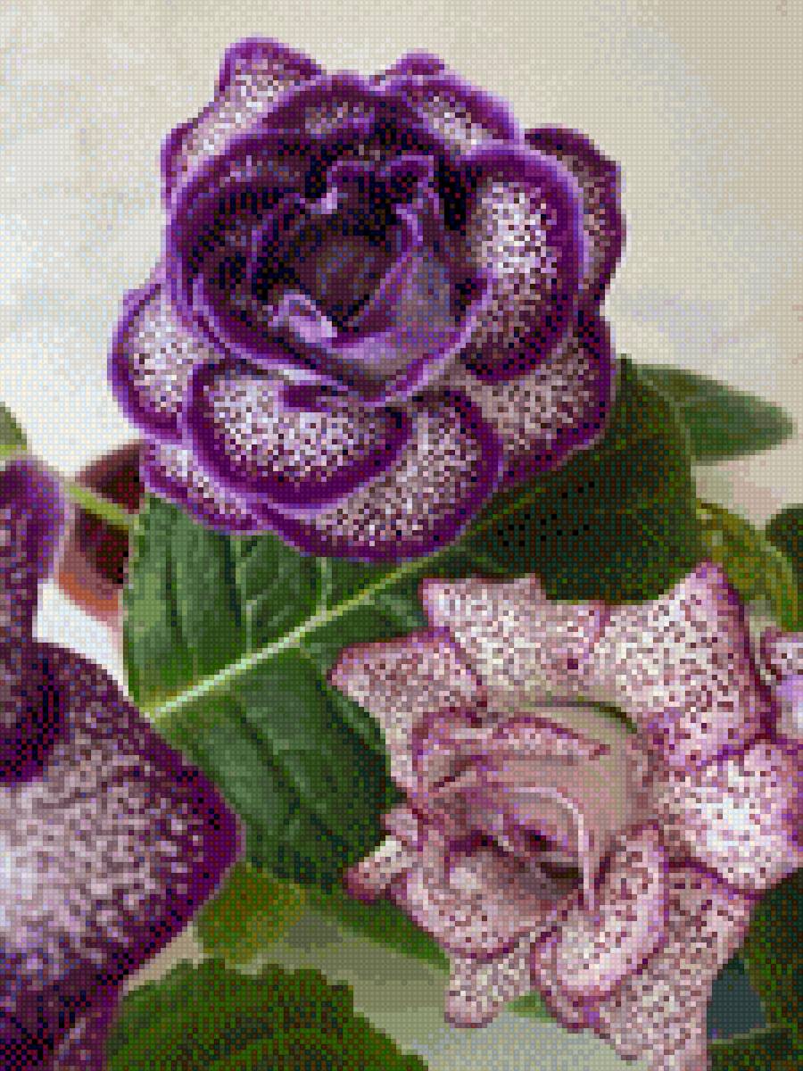 Розы - цветы - предпросмотр