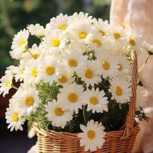 Схема вышивки «№2794264»