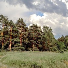 Схема вышивки «№2794707»