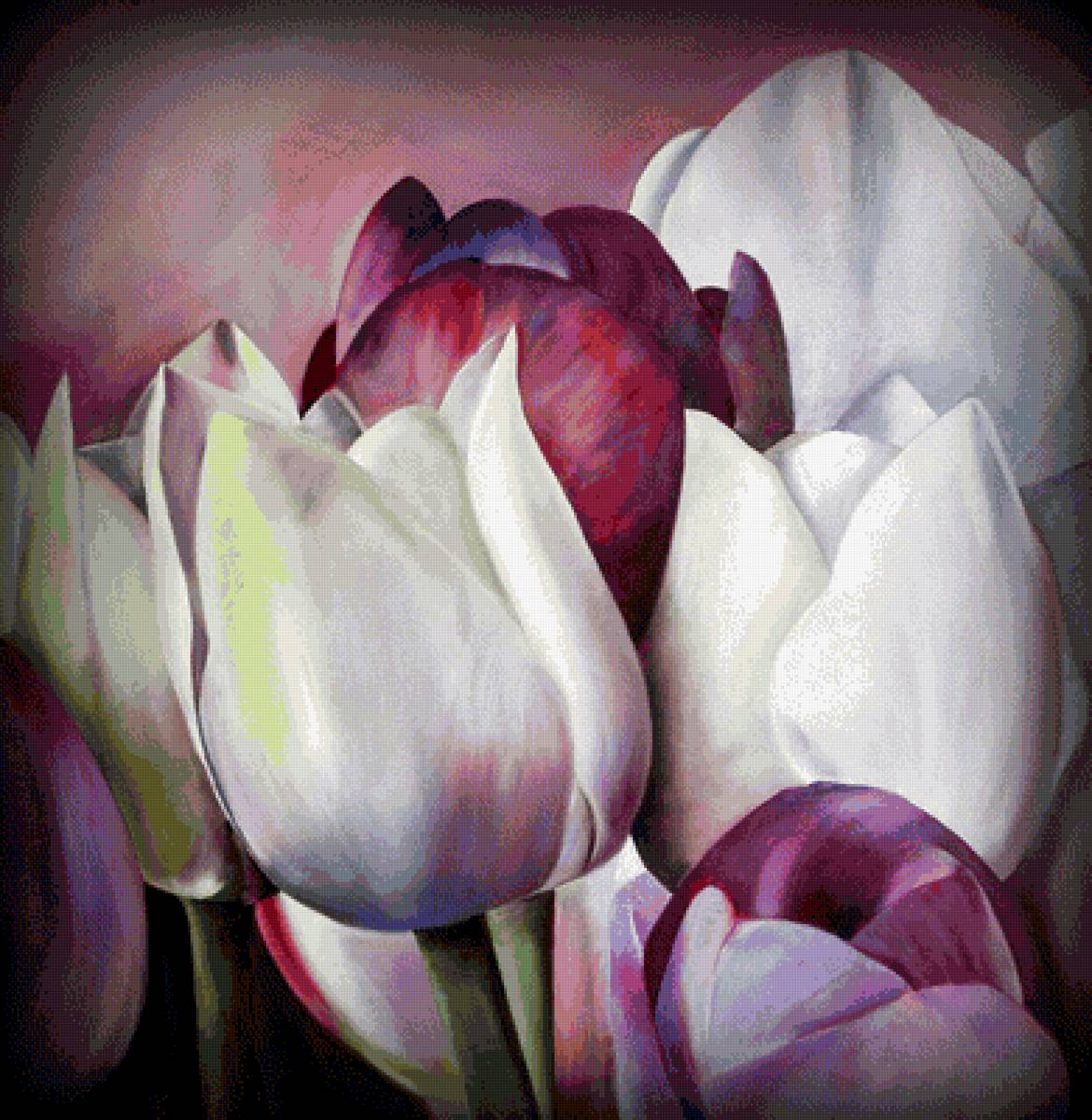 Тюльпаны - предпросмотр