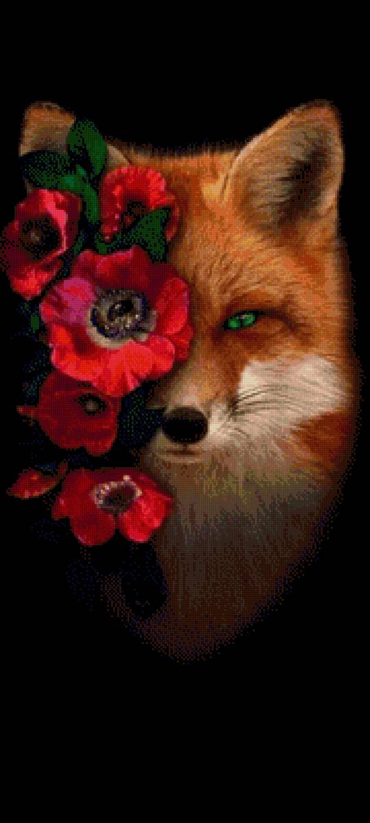 Лиса в маках - предпросмотр