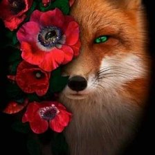 Схема вышивки «Лиса в маках»