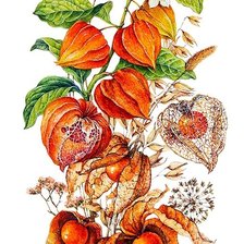 Схема вышивки «№2796015»