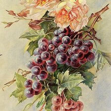 Схема вышивки «Виноград»