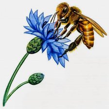 Схема вышивки «Пчелка на цветочке»