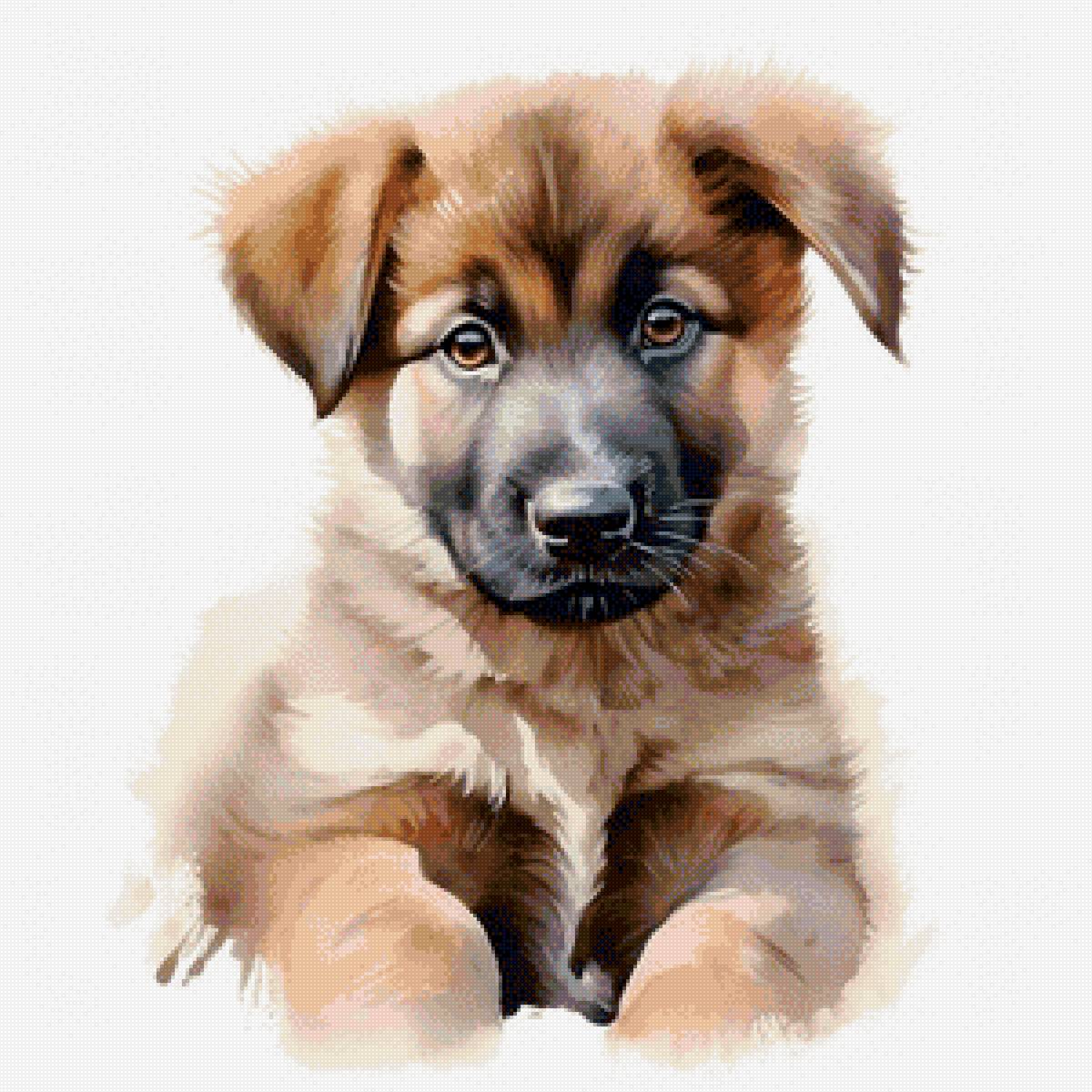 Дружок - собака - предпросмотр