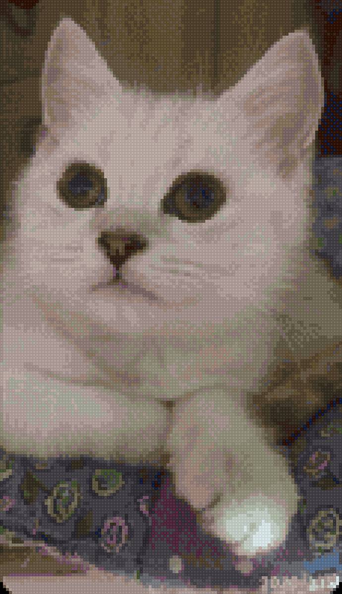 Нафаня... - котики - предпросмотр