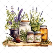 Прованские травы